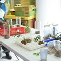 「手心裡的森林」 苔球手作體驗溫馨登場