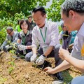 嘉義縣復育阿里山油菊 翁章梁帶領小朋友種下樹苗