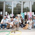 動物友善升級！竹市寵物市集站前可愛登場 邱臣遠代理市長：打造人寵幸福的永續城市