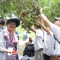 實踐綠色行動力！ 中華大學引領企業走進山林保育