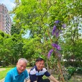 為綠色環保盡一份心力～中國醫藥大學洪明奇校長、林昭庚院士認養台中「育德園道」花木