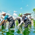 宜蘭蓁巷社區辦湧泉嘉年華 信義房屋志工助營造友善環境