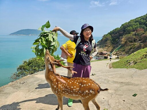 藍眼淚點亮夏夜 救國團推馬祖跳島營