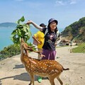 藍眼淚點亮夏夜 救國團推馬祖跳島營