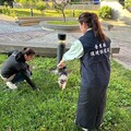 繫妥狗繩 帶上狗便撿拾器 隨手清狗便 做個遛狗模範生 共同維護臺東的好環境
