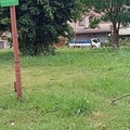 精進市容、指標優化、十八尖山步道刨鋪、推動公園智慧管理！竹市公管中心成立邁入半年 持續打造市民有感市政服務 展現改革成效