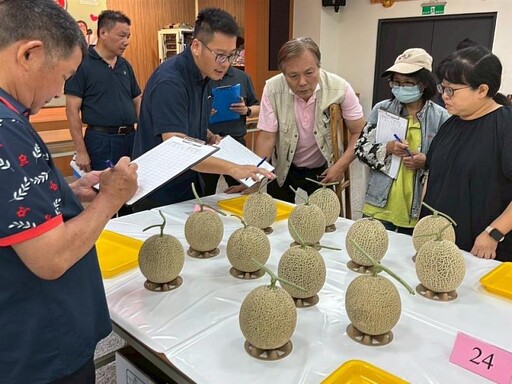114年彰化縣第二屆網紋洋香瓜果品評鑑競賽 熱鬧登場 縣府力挺農業升級 展現地方農業實力