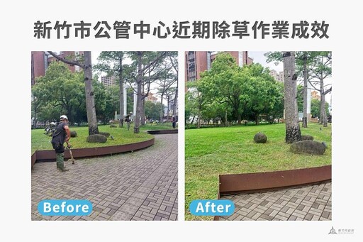 近期草木生長受氣候影響加劇 竹市公管中心強調例行作業未停歇、多點完成清整
