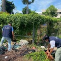 端午護環境 防登革熱 臺東縣環保局呼籲落實「巡倒清刷」