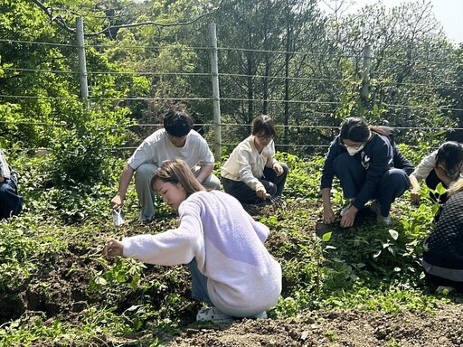 南華大學永續行動與食農教育課程 結合實作培育綠領新世代