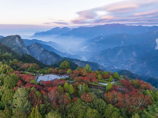 森林保育與永續旅遊雙贏典範 阿里山國家森林遊樂區獲永續旅遊目的地金級獎殊榮