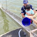 當舖聯合會攜手各界放流魚苗，守護海洋資源