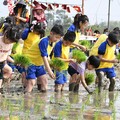 嘉義縣食農教育成效卓越 獲「食育力城市調查」五星肯定