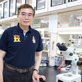 長庚大學團隊開創眼角膜細胞修護新里程