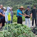 花蓮綠電走出去！跨區公民電場觀摩 拓展能源自主藍圖