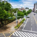 嘉義市36處公園預計於7月底前完成清運 升級路樹選種及養護策略 打造韌性嘉園