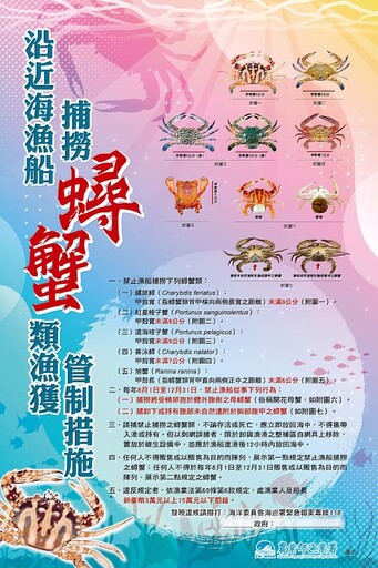 禁捕售！禁拔卵！ 8月1日至12月31日 保護抱卵母蟹 一起守護你我的海洋