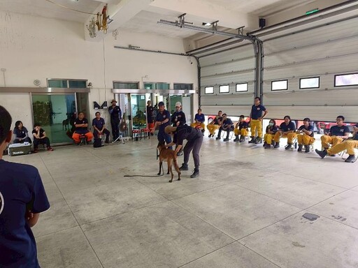新北市消防局辦理國際級搜救犬訓練 強化搜索實力與國際無縫接軌