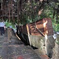 南門段城垣殘蹟因豪雨部分塌陷 文化部與市府緊急啟動搶修機制