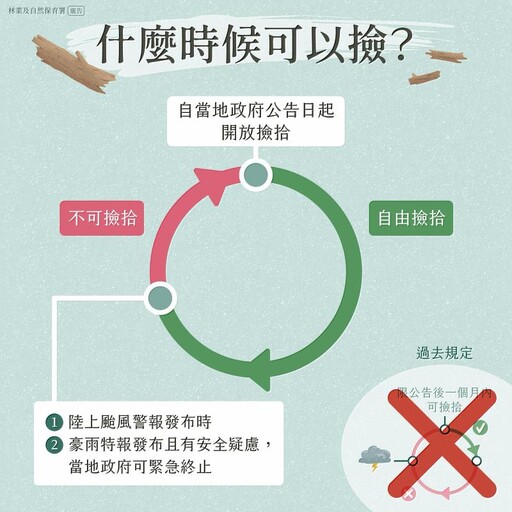 楊柳颱風陸上颱風警報發布警戒區域包括高屏地區 林業保育署屏東分署與各打撈清理權責機關已完成整備 請民眾注意安全勿前往撿拾漂流木