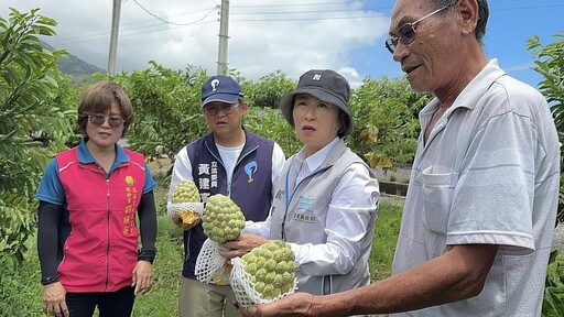 楊柳颱風重創臺東農業 縣府積極爭取全品項救助及受災作物「免現勘」