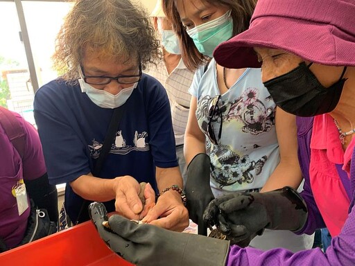 趁暑假帶小朋友來鰲鼓濕地吸收「蚵學」知識