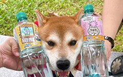 喝水補「柴」氣！台塩海洋鹼性離子水×柴語錄 最萌聯名 momo限量獨家開賣