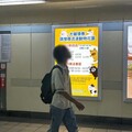 「看見就有希望」 謝卓燁讓流浪動物動物花園在捷運站被看見