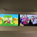 咬一口花蓮幸福！花蓮文旦柚行銷活動北台灣開跑
