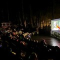2025阿里山森旅季－夏，百名遊客共享夢幻星空電影夜