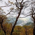 歡慶雙十！ 林保署12處國家森林遊樂區半票優惠入園