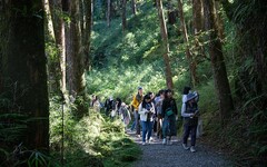 「2025阿里山森旅季」冬季壓軸活動圓滿落幕