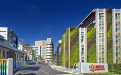 高基期、市場消費力保守 葡萄王Q3營收年減、Q4旺季動能顯現