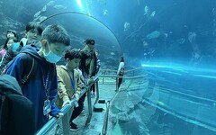 2026歡樂冬令「與魚共舞－夜宿海生館」精彩活動等您來挑戰！
