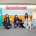 我愛毛孩公益嘉年華明年一月登場 特殊工作犬現身分享日常