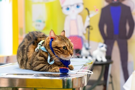 台北寵物用品展將登場 國寶寵物限時推出寵物六星渡假券