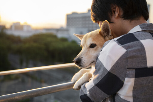 信義房屋從地方需求出發 興建5座浪浪屋打造動物共融基地