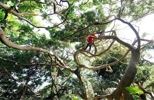 享受一場冒險旅遊 OKINAWA ADVENTURES推出全新沖繩旅遊行程