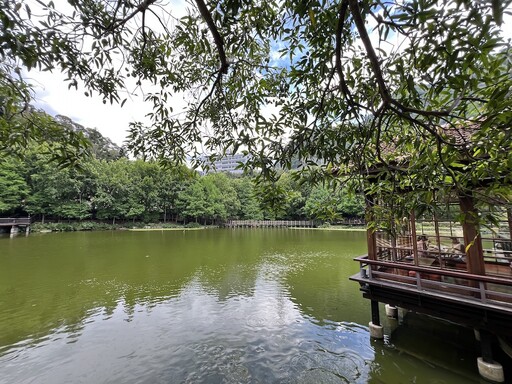 【有影】 水里小鎮漫遊趣！住進白色城堡 輕鬆玩轉南投四大景點