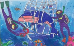 國家海洋研究院最新調查 國人海洋保護意識提升、行動仍待落實