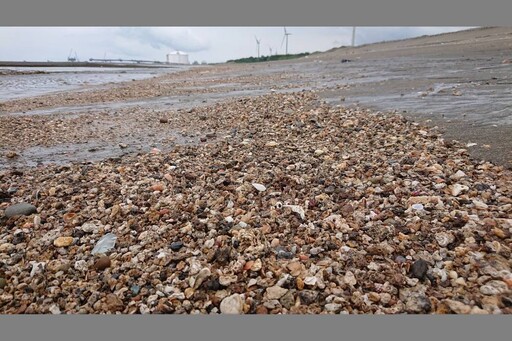 三接爆浮報百億 中油高層涉拉抬預算 法界：涉貪污治罪條例