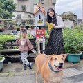【有影】毛孩外出不麻煩！新北環保局設276座狗便（袋）箱 打造友善潔淨社區