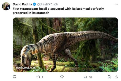 暴龍愛挑嘴？ 幼龍化石顯示只吃獵物腿部「重質不重量」