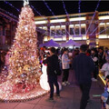 回鄉創業潮流讓金門更有溫度 耶誕購物節活動引人愛上金門