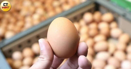 大選落幕「蛋價繼續凍」！蛋商公會：下周維持批發價48元