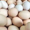 連2週調漲！天冷雞蛋產量拉不上來 蛋價明起再漲2元