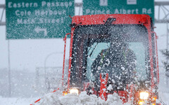加拿大東南岸歷史級暴雪癱瘓交通 多處進入緊急狀態