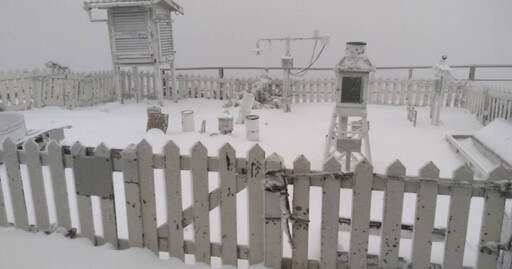 玉山小年夜起下雪 初一「8公分積雪覆蓋」銀白世界美景曝光