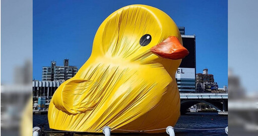 黃色小鴨慘變「老了鴨」 強風一吹…變形畫面曝光