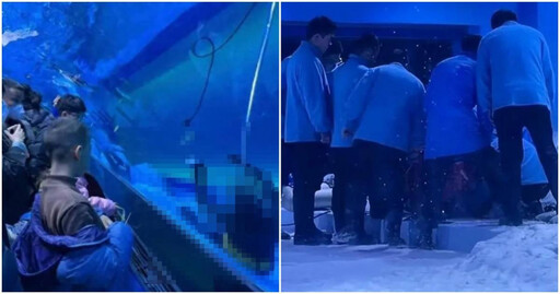海洋館潛水員「沉水底不動」溺亡 遊客隔玻璃盯看10分鐘：以為假人